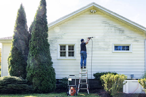 Best Affordable Power Washing  in Pinckney, MI