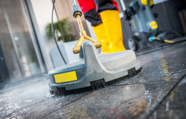 Best Local Pressure Washing Services  in Pinckney, MI