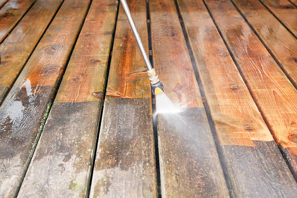 Best Best Pressure Washing Companies  in Pinckney, MI