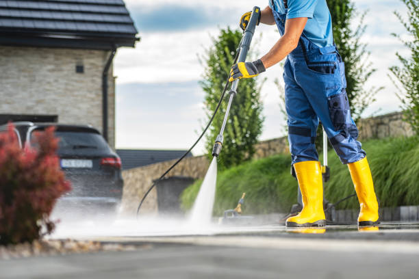Best Pressure Washing Company Near Me  in Pinckney, MI